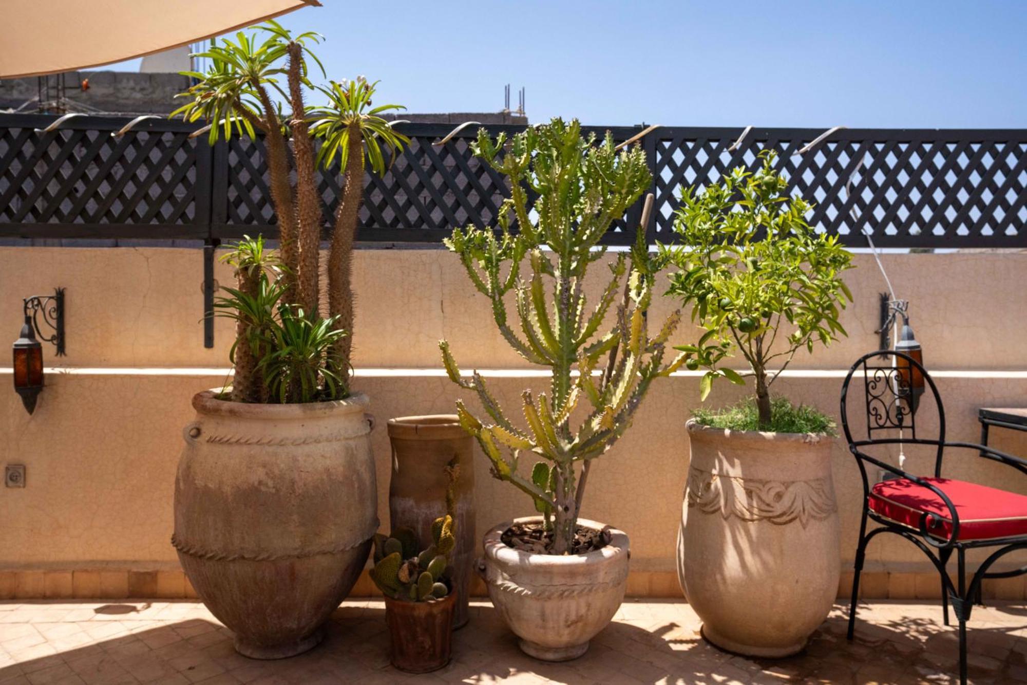 Dowaya Hébergement de vacances Marrakesh